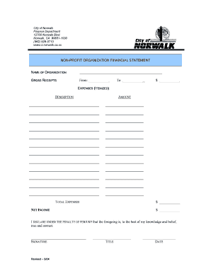 Non-Profit Organization Financial Statement